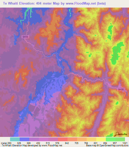 Te Whaiti,New Zealand Elevation Map