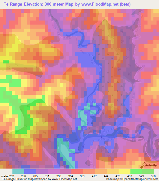 Te Ranga,New Zealand Elevation Map