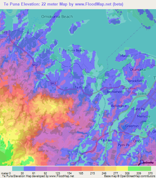 Te Puna,New Zealand Elevation Map