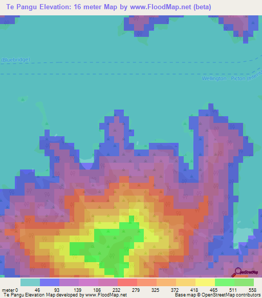 Te Pangu,New Zealand Elevation Map