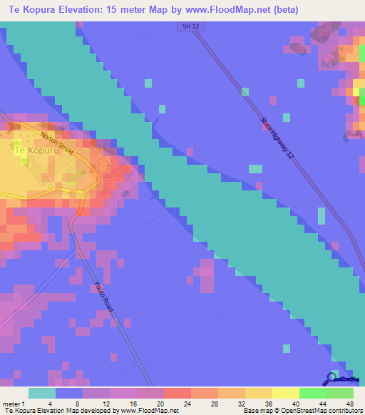 Te Kopura,New Zealand Elevation Map