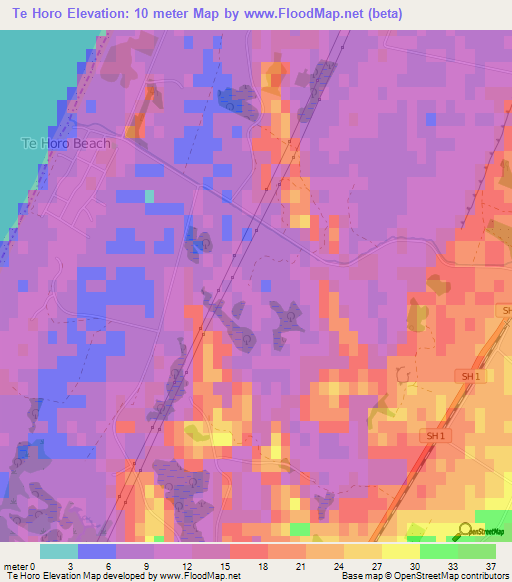 Te Horo,New Zealand Elevation Map