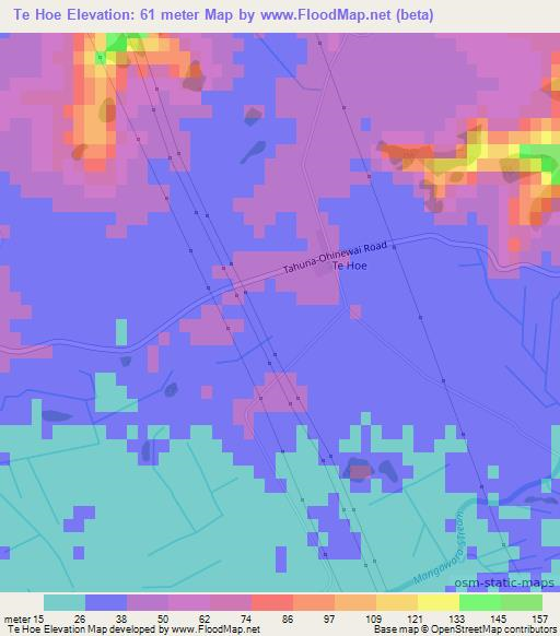 Te Hoe,New Zealand Elevation Map