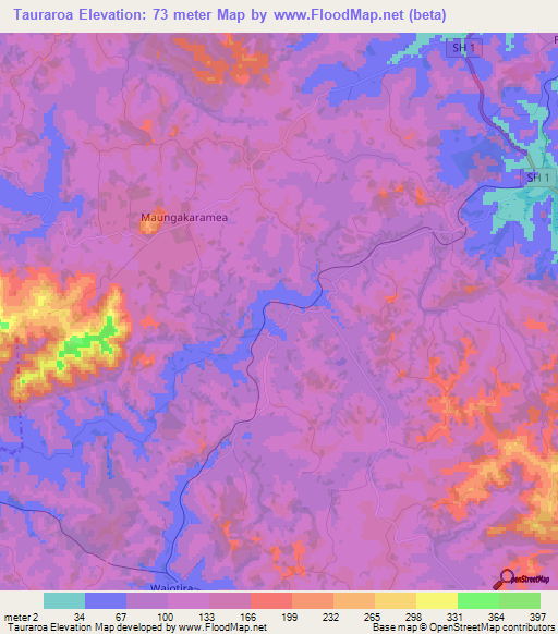 Tauraroa,New Zealand Elevation Map