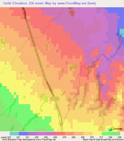 Tariki,New Zealand Elevation Map