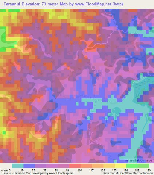 Taraunui,New Zealand Elevation Map