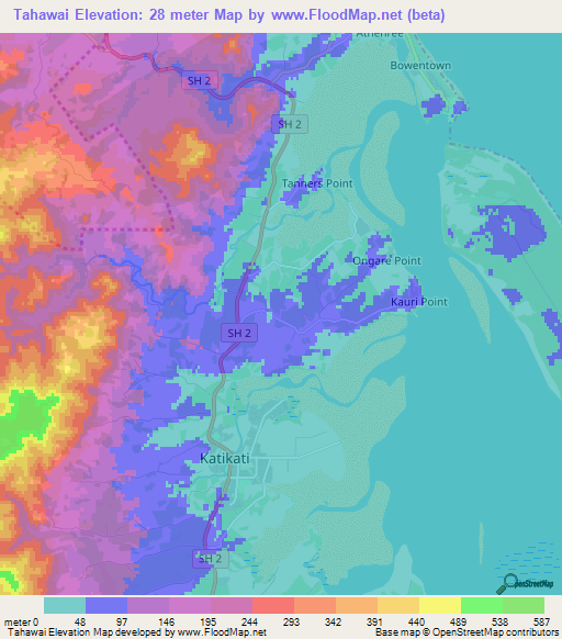 Tahawai,New Zealand Elevation Map