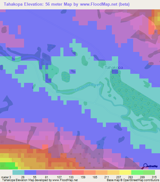 Tahakopa,New Zealand Elevation Map