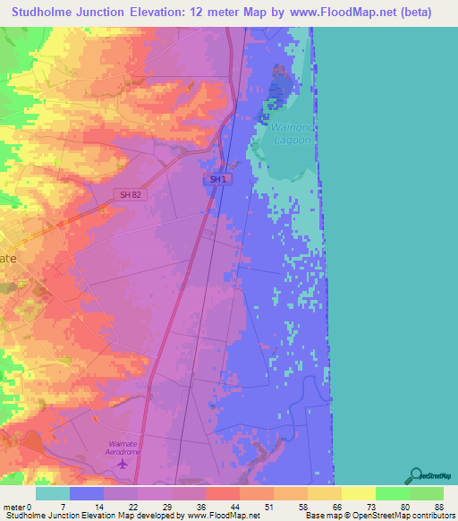Studholme Junction,New Zealand Elevation Map