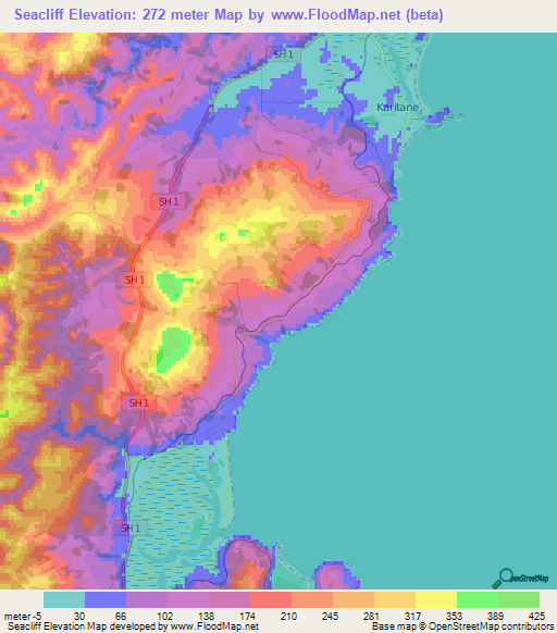 Seacliff,New Zealand Elevation Map