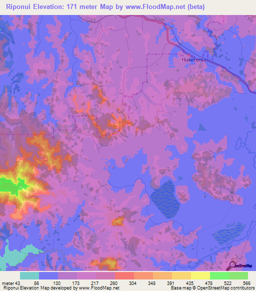 Riponui,New Zealand Elevation Map