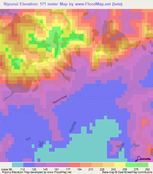 Riponui,New Zealand Elevation Map