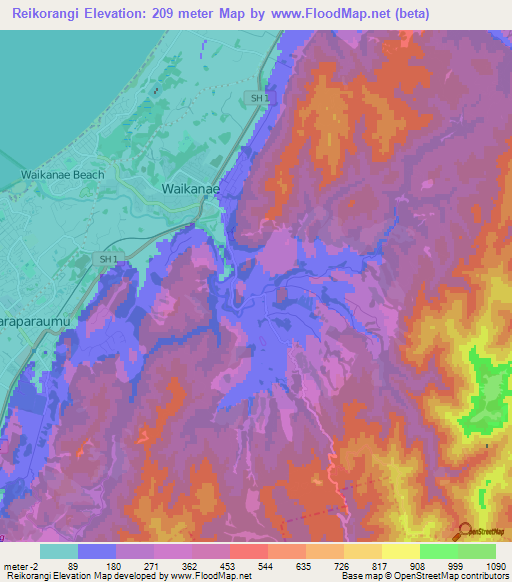 Reikorangi,New Zealand Elevation Map