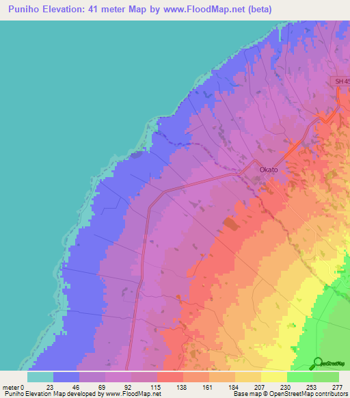 Puniho,New Zealand Elevation Map