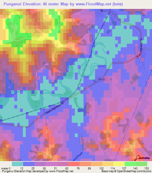 Punganui,New Zealand Elevation Map