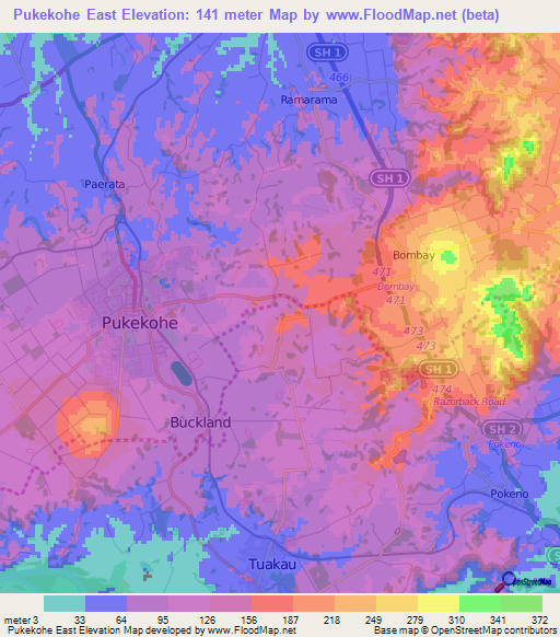 Pukekohe East,New Zealand Elevation Map