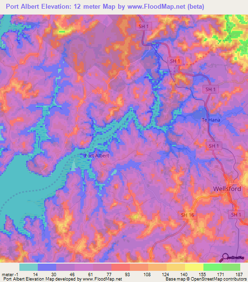 Port Albert,New Zealand Elevation Map