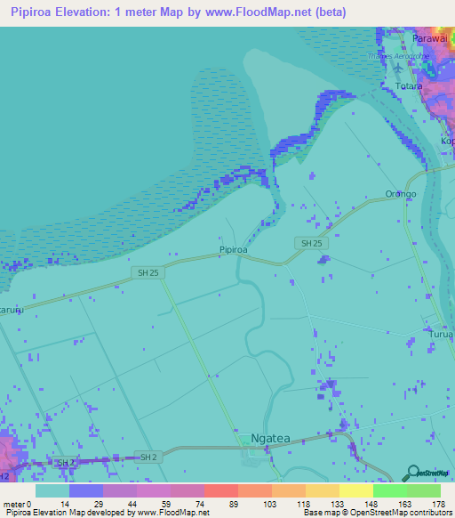 Pipiroa,New Zealand Elevation Map