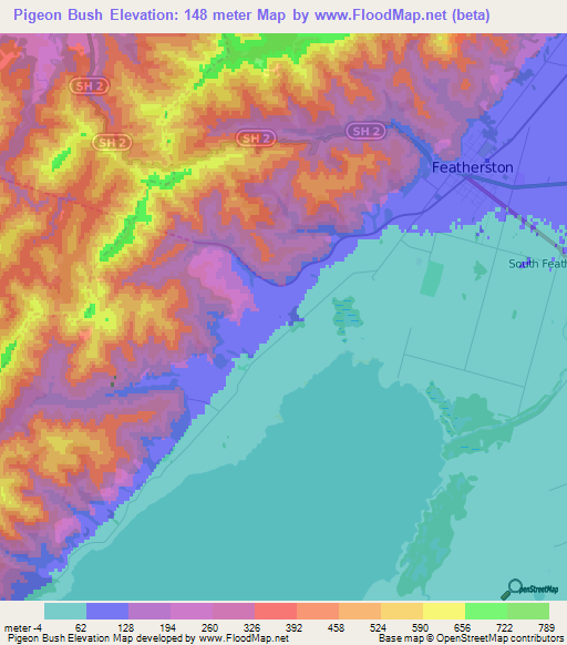 Pigeon Bush,New Zealand Elevation Map