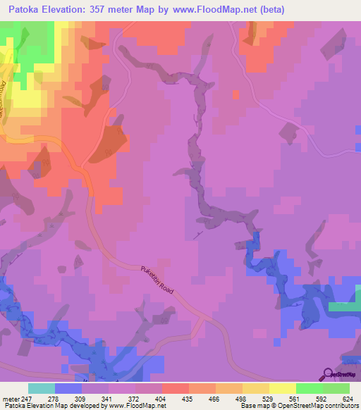 Patoka,New Zealand Elevation Map