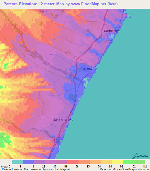 Pareora,New Zealand Elevation Map