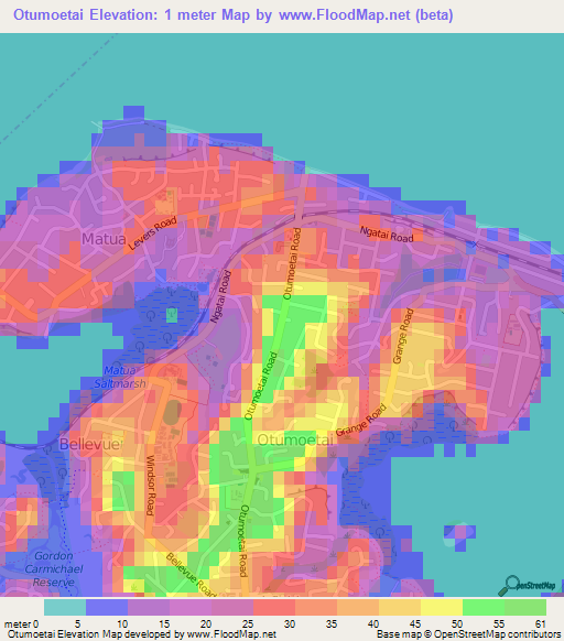 Otumoetai,New Zealand Elevation Map