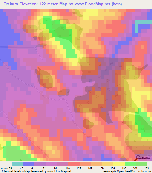 Otekura,New Zealand Elevation Map