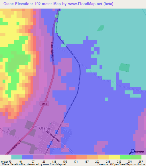 Otane,New Zealand Elevation Map