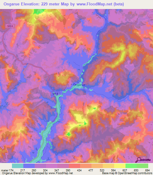 Ongarue,New Zealand Elevation Map