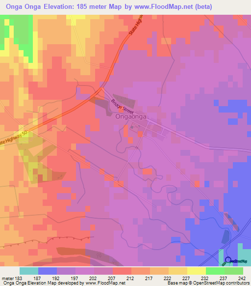 Onga Onga,New Zealand Elevation Map