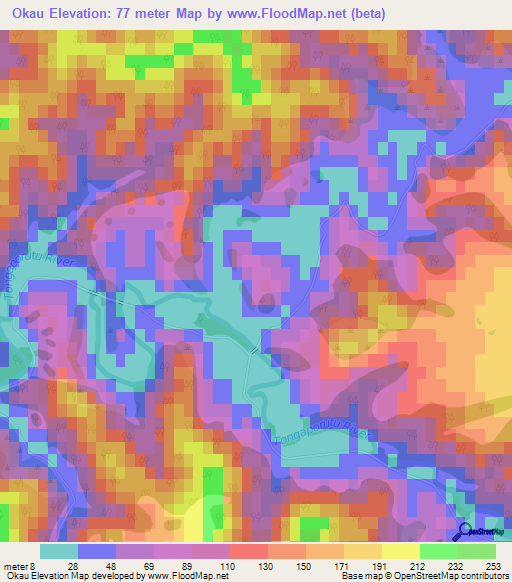 Okau,New Zealand Elevation Map