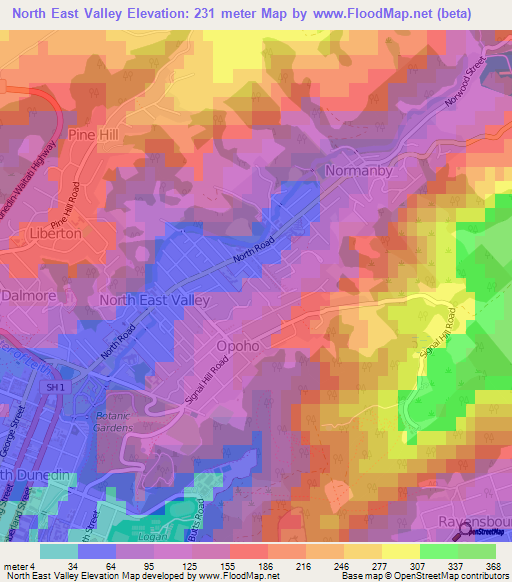 North East Valley,New Zealand Elevation Map