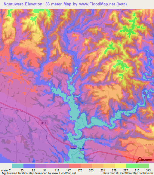 Ngutuwera,New Zealand Elevation Map