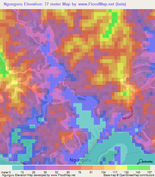 Ngunguru,New Zealand Elevation Map