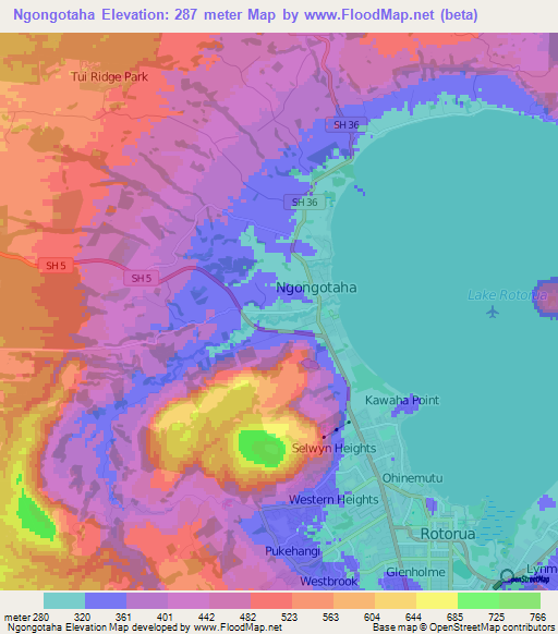 Ngongotaha,New Zealand Elevation Map