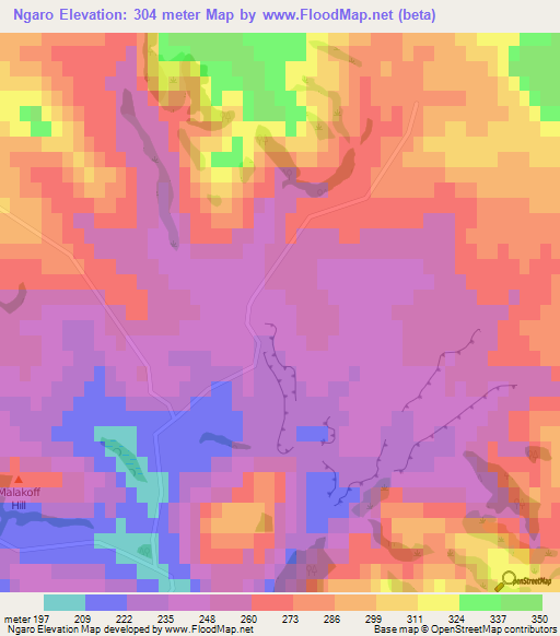 Ngaro,New Zealand Elevation Map