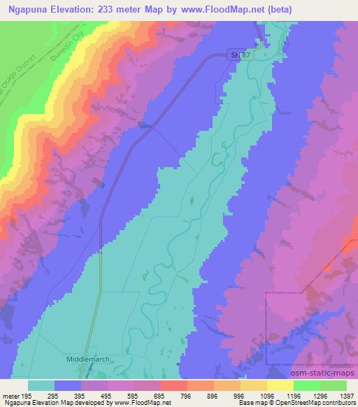 Ngapuna,New Zealand Elevation Map