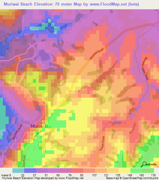 Muriwai Beach,New Zealand Elevation Map