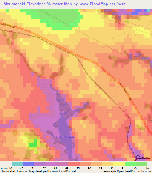 Moumahaki,New Zealand Elevation Map