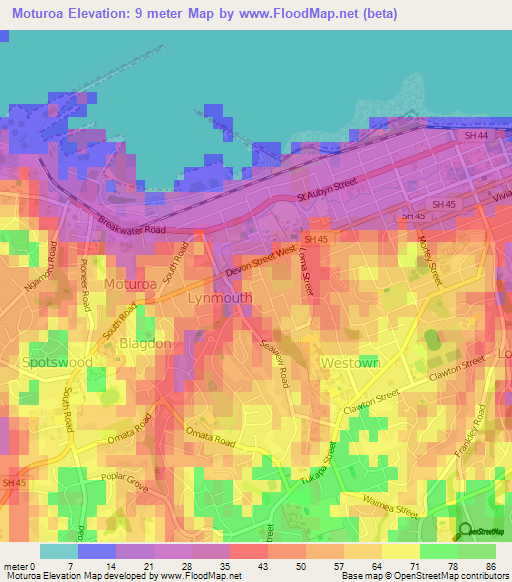 Moturoa,New Zealand Elevation Map