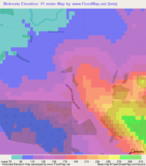 Mokoreta,New Zealand Elevation Map