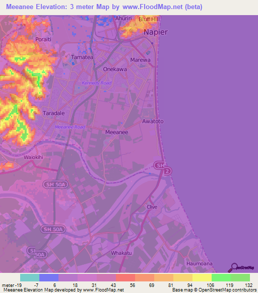Meeanee,New Zealand Elevation Map