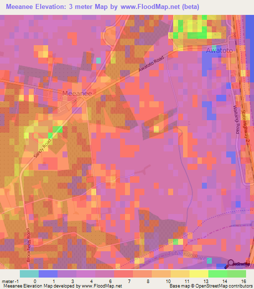 Meeanee,New Zealand Elevation Map