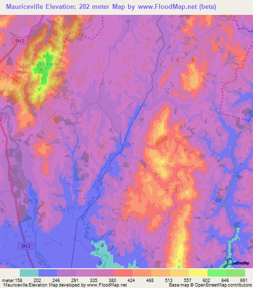 Mauriceville,New Zealand Elevation Map