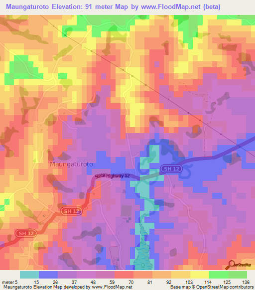 Maungaturoto,New Zealand Elevation Map