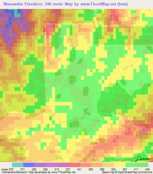 Manawahe,New Zealand Elevation Map