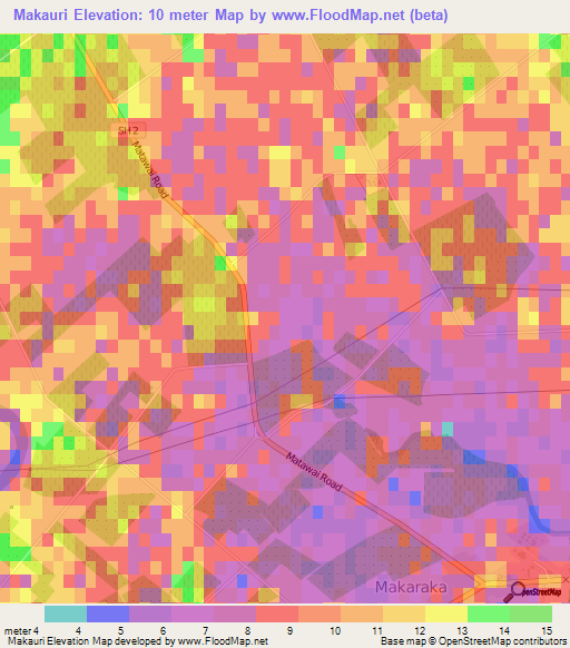 Makauri,New Zealand Elevation Map