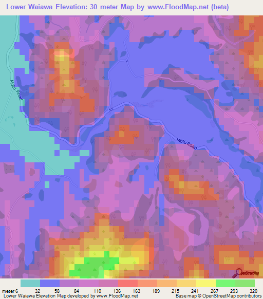 Lower Waiawa,New Zealand Elevation Map