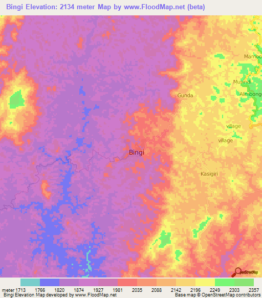 Bingi,Congo (Kinshasa) Elevation Map