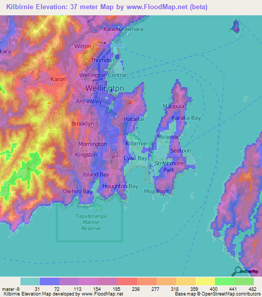 Kilbirnie,New Zealand Elevation Map